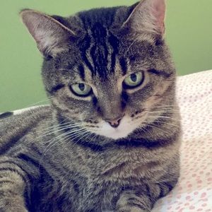 Meet your Posher, MaKayla